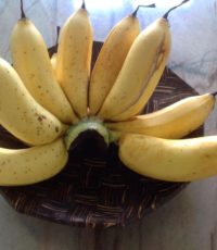 Banana Rastali