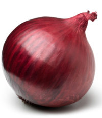 Big Onion