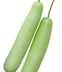 Bottle gourd – சுரைக்காய்