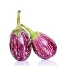 Brinjal கத்திரிக்காய்