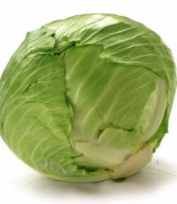 Cabbage – முட்டைக்கோஸ்