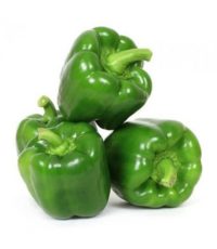 capsicum