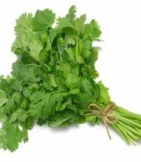 Coriander leaves 100grms