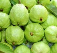 Guava – Koyya (Seasonal)