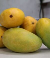 Mango – Imam Pasand Seasonal