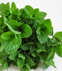 Mint leaves 1 bunch – புதினா